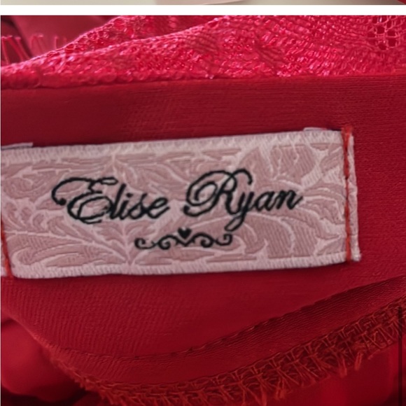 Elise Ryan Red Sleeveless Laced Sheer Maxi Occasion Dress - Picture 4 of 12